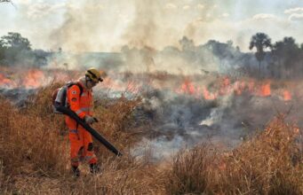 Crise ambiental: Minas Gerais registra histórico de 10 milhões de hectares queimados em 40 anos