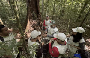 Projeto forma pesquisadores comunitários em unidade de conservação do Marajó