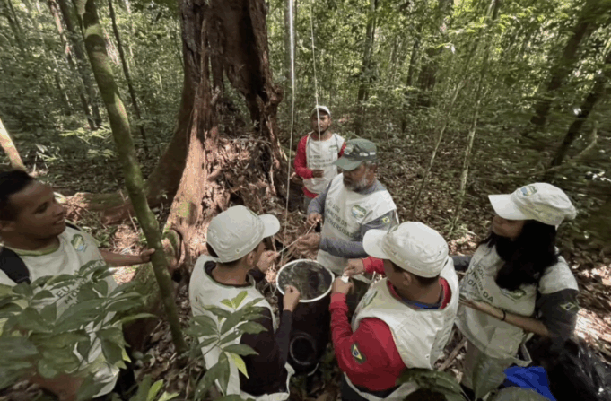 Projeto forma pesquisadores comunitários em unidade de conservação do Marajó