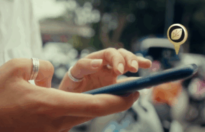 Startup brasileira transforma floresta em conteúdo e engajamento via modelo de assinatura