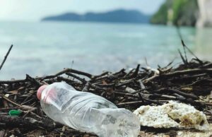 Embalagens PET já atendem grande parte das exigências do novo decreto nacional dos plásticos