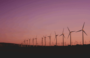 75% dos brasileiros acreditam que as empresas devem assumir custos de sustentabilidade, aponta pesquisa da Ipsos