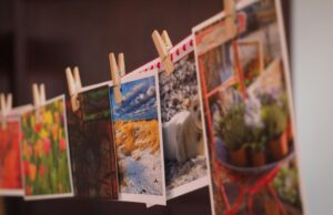 Concurso de Fotografia Limpa Brasil entra na reta final com votação popular aberta até 20 de outubro