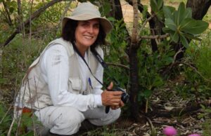 Pesquisadora do Instituto de Pesquisas Ambientais de SP está entre cientistas mais influentes do mundo pela quinta vez