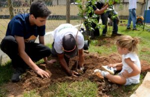 Plantio de 30 mil árvores pela CDHU reforça contribuição de São Paulo às metas globais de sustentabilidade