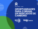 Estudo aponta potencial brasileiro para liderança global na economia de baixo carbono