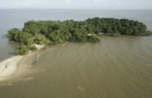 Ilha da Amazônia receberá sistema de construção sustentável modular desenvolvido por docente da Unesp