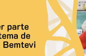 Bemtevi, plataforma de apoio a negócios sociais, lança 3ª Chamada Negócios Sociais pelo Clima