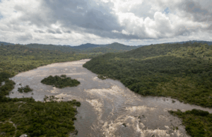 Lançado edital de R$ 70,2 milhões para criação de núcleos de sociobioeconomia na Amazônia