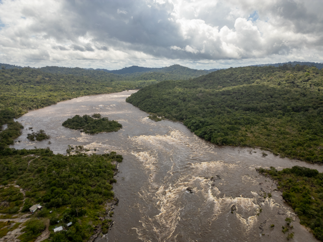 Expedicao-Arvores-Gigantes-da-Amazonia---creditos-Fernando-Sette Média