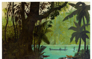 Instituto Tomie Ohtake realiza o seminário A terra, o fogo, a água e os ventos