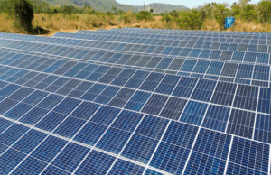 Certificação de Empresa Carbono Neutro reforça compromisso com sustentabilidade pelo segundo ano seguido