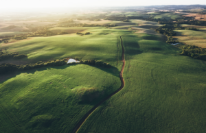 BNDES já aprovou R$ 5,2 bilhões para produtores rurais afetados por eventos climáticos