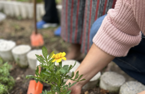 Biblioteca Parque Villa-Lobos inaugura Percurso Mata Atlântica com show de Rael e programação gratuita
