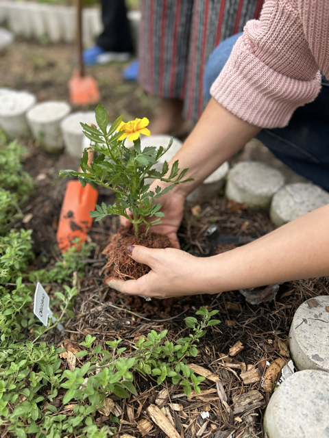 BVL-PCOE-2025-PRES_Foto 2_ Plantação da horta_ Crédito_Acervo pessoal_Pé de Feijão Média