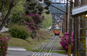 Campos do Jordão (SP) é reconhecida internacionalmente como referência em desenvolvimento sustentável