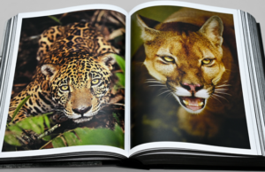 Araquém Alcântara celebra 50 anos de carreira com obra-manifesto sobre a natureza brasileira