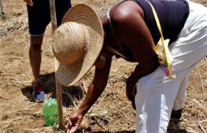 Doação a fundo emergencial reforça apoio a comunidades afetadas por eventos climáticos extremos