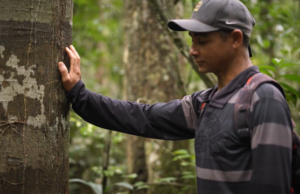Parceria sustentável fortalece a Amazônia e gera renda para pequenos produtores