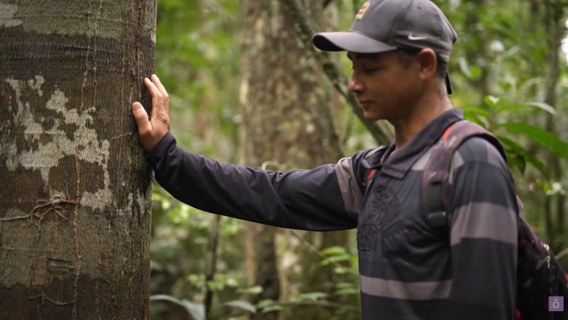 Screenshot-10 Média