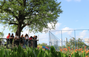 Soluções baseadas na natureza podem mudar o futuro das periferias brasileiras