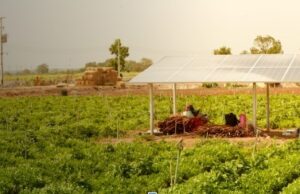 Perspectivas para o futuro da energia solar e os vencedores do SolarX Startup Challenge LAC na COP30