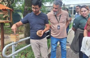 SP celebra cinco anos do Programa Abelhas Nativas