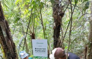 Programa incentiva a geração de renda e a conservação no litoral paranaense