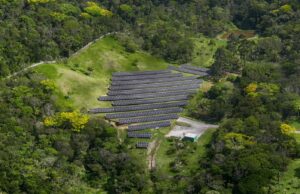 Fazenda solar no Sul do país compensa emissão de CO₂ equivalente a 2 mil árvores plantadas