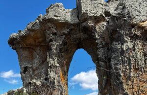 Projeto Água Vida celebra o Dia da Fotografia com ação ambiental em Pernambuco