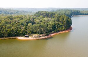 Inpe confirma redução de desmatamento na maioria dos biomas em 2024