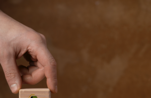 Elephants, Rhinos & People mostra como conservar vidas também é uma decisão de negócios