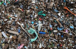 Do oceano à corrente sanguínea: como os microplásticos afetam a saúde