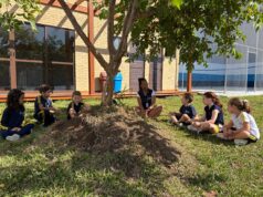 Do ensino à ação: escola em Curitiba inaugura espaço autossustentável que integra esporte e consciência ambiental
