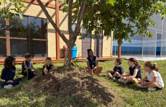 Do ensino à ação: escola em Curitiba inaugura espaço autossustentável que integra esporte e consciência ambiental