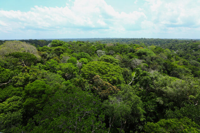 Amazonia