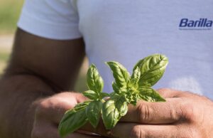 Energia renovável, agricultura regenerativa e apoio a comunidades marcam avanços em sustentabilidade