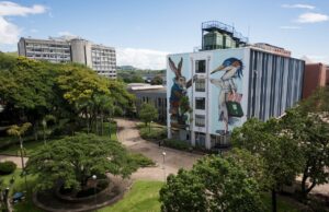 Primeira e única universidade carbono neutro do Brasil remove mais de 5 mil toneladas de gases de efeito estufa da atmosfera