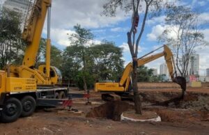 Árvores quase centenárias ganham novo endereço em Anápolis