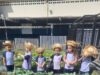 Projetos na escola aproximam crianças de temas ligados à sustentabilidade