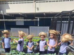 Projetos na escola aproximam crianças de temas ligados à sustentabilidade