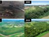 Reserva de Mata Atlântica em Guaratinguetá conquista certificação internacional de preservação ambiental