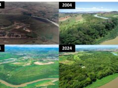 Reserva de Mata Atlântica em Guaratinguetá conquista certificação internacional de preservação ambiental