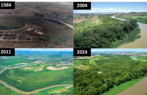 Reserva de Mata Atlântica em Guaratinguetá conquista certificação internacional de preservação ambiental