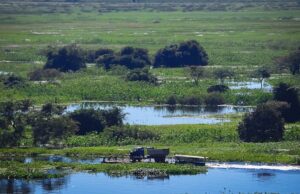 Estudo reforça perda significativa da água superficial no Pantanal brasileiro
