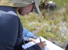 Funbio abre inscrições para programa que apoia pesquisas aplicadas de campo em conservação ambiental