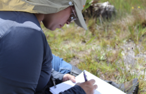 Funbio abre inscrições para programa que apoia pesquisas aplicadas de campo em conservação ambiental