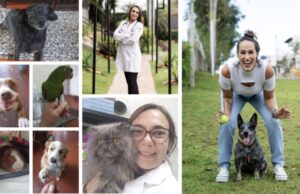 Com apoio do Banco do Povo, empreendedoras transformam paixão por animais em negócio