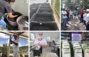 Dia da Proteção às Florestas: SP Produz mostra que proteger áreas verdes também gera emprego e renda