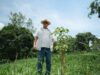 Fazenda em MG alcança 99,7% de sobrevivência em reflorestamento